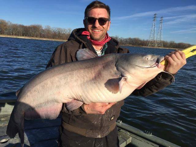 Huge blue catfish caught in Powerton Lake